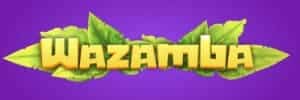 Blaze crash login